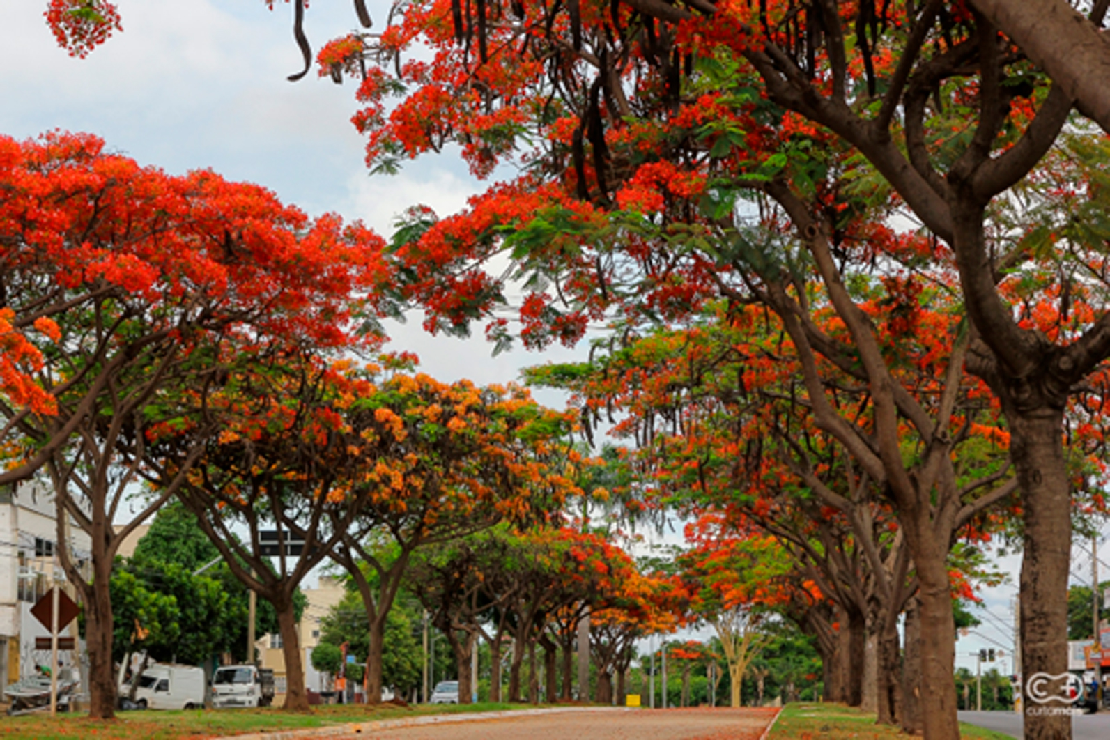 Mais do que um refúgio, Batel esconde um Jardim Secreto em