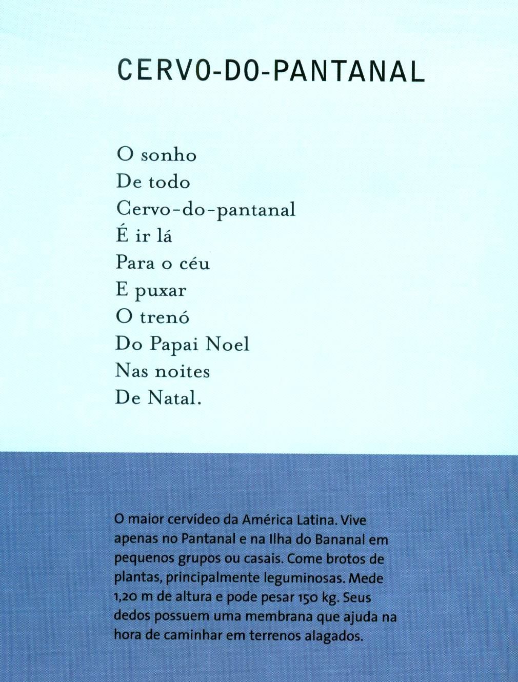 Brasileirinhos Do Pantanal Poesia Para Os Bichos De Um